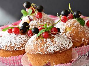 Bildergalerie Angebot der Schule Oberstufenzentrum Eisengasse