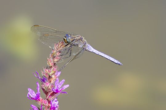 Bildergalerie Kindergarten Bodenacker