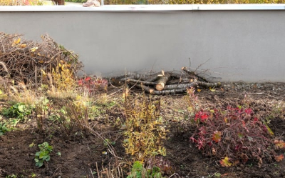 Wir bauen einen Asthaufen im Naturgarten Lutertalpark