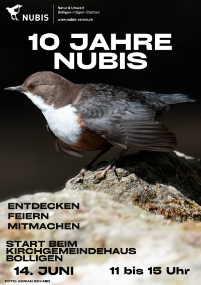Jubliläumsfest 10 Jahre NUBIS
